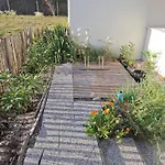 Appartement T2 Rdc Avec Jardin - Océan Lacanau
