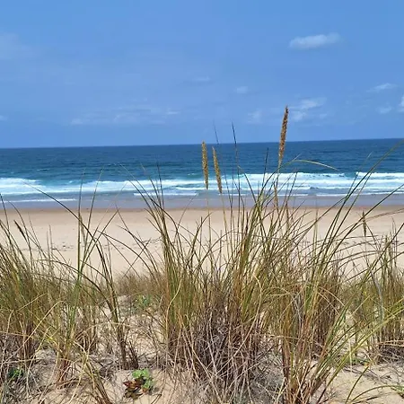 Apartmán T2 Rdc Avec Jardin - Ocean