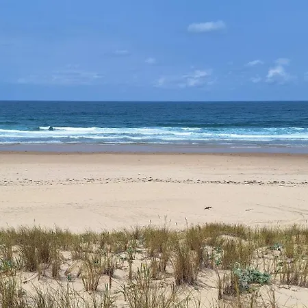T2 Rdc Avec Jardin - Ocean Apartmán Lacanau